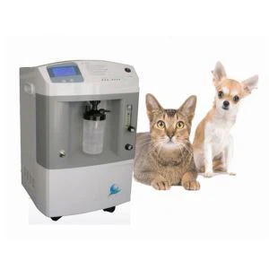 Kućni ljubimci koriste 5L / 10L koncentrator kisika